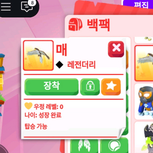 입양하세요 R매