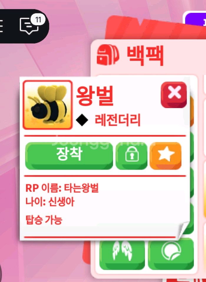 입양하세요 R왕벌--0