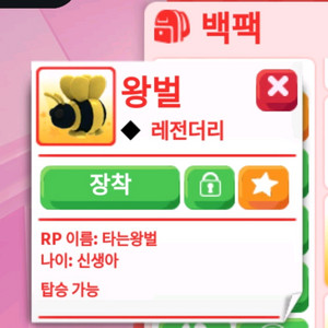입양하세요 R왕벌