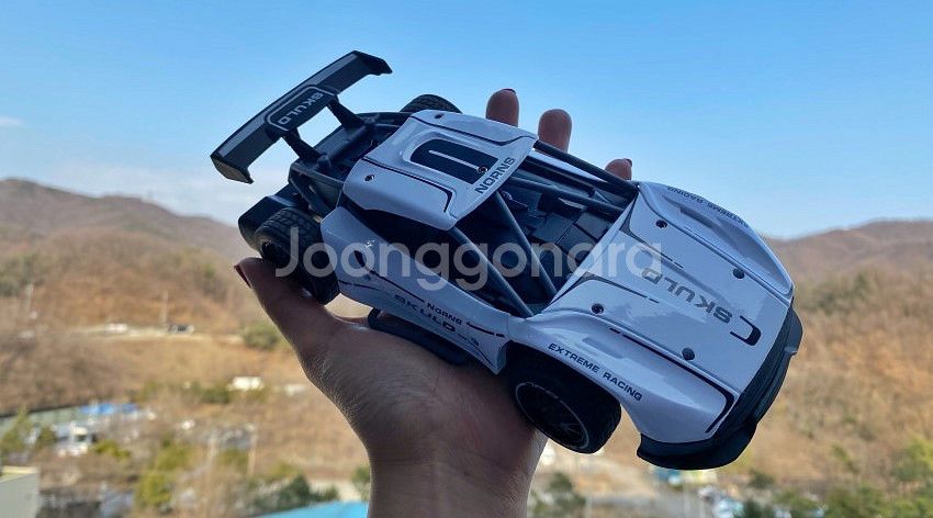 1/24 단단한 몸체 메탈 바디 무선조종 R/C--1