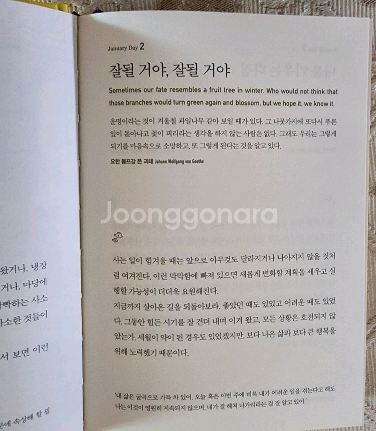 매일 읽는 긍정의 한 줄 도서--2