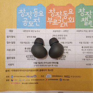 버즈2 프로 그라파이트 양쪽