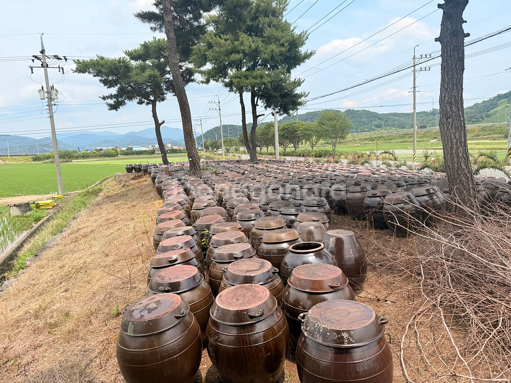 무공해 옹기항아리 판매(120L)--0