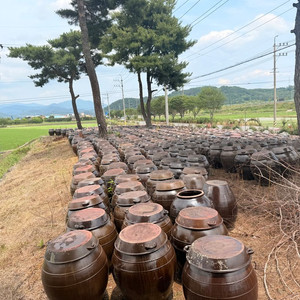 무공해 옹기항아리 판매(120L)