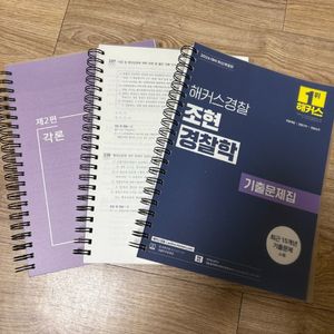 조현 경찰학 기출