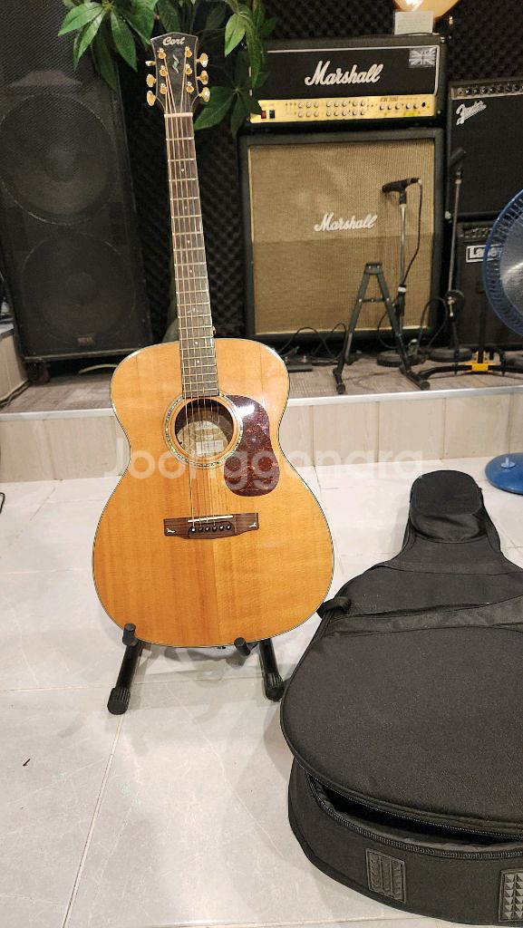 Cort Gold 06 NAT 어쿠스틱 통기타--0