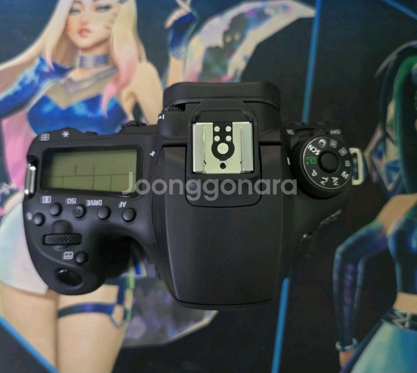 캐논90d 18-135 렌즈킷,시그마 18-35 렌즈--2