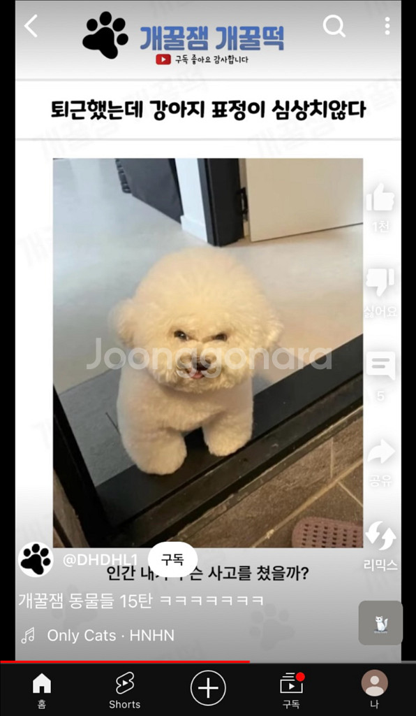 넥슨 캐시충전식 삽니다--0