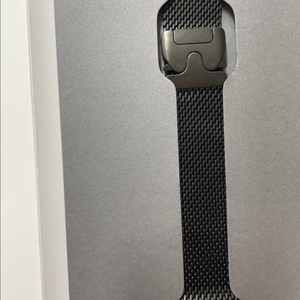 애플워치 티타늄밀레니즈 L 신품급 49mm