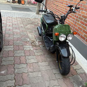 줌머50