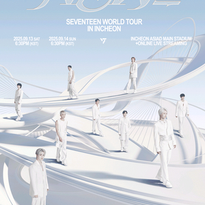 세븐틴 SEVENTEEN 월드투어콘서트 VIP 티켓양도