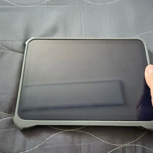 아이패드 미니6 셀룰러 256gb 팝니다