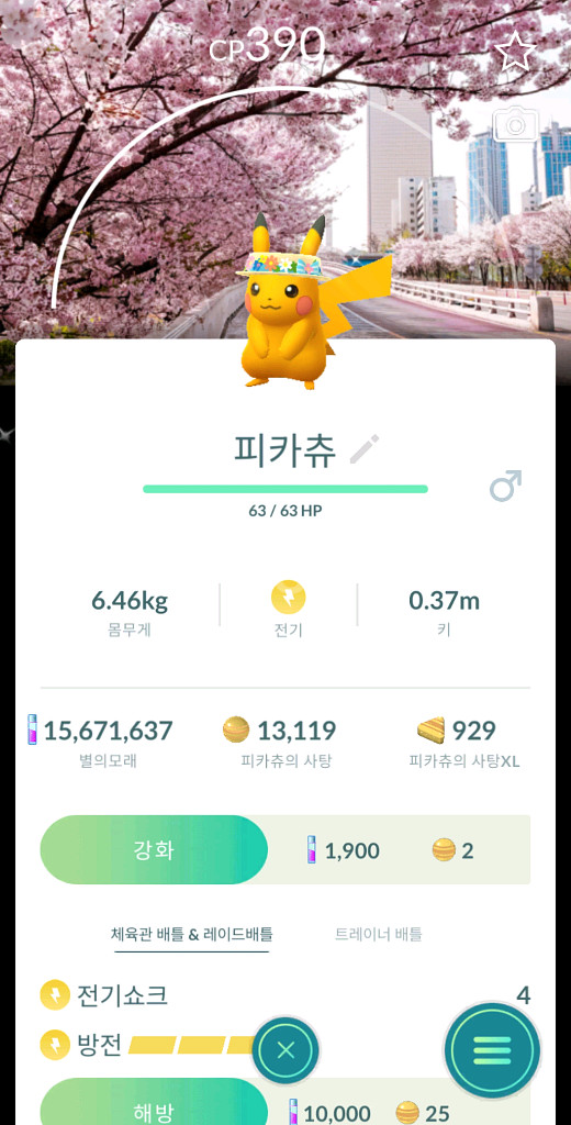 포켓몬고 여의도 벚꽃배경 이로치 피카츄--0