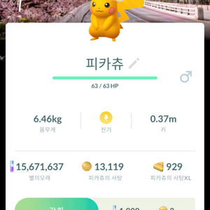 포켓몬고 여의도 벚꽃배경 이로치 피카츄