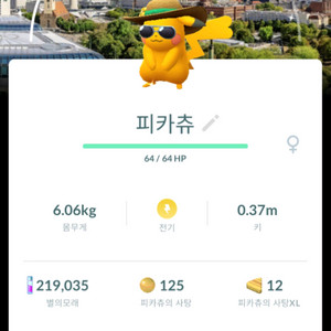 포켓몬고 독일배경 이로치피카츄
