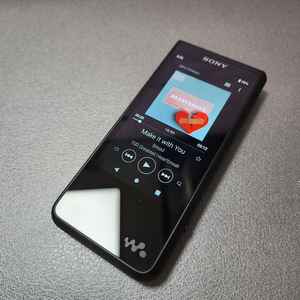 SONY NW-ZX507 DAP 워크맨