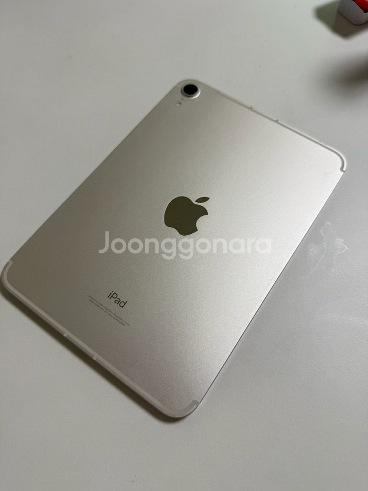 아이패드 미니6 256 셀룰러 스타라이트--0