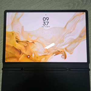 삼성 갤럭시탭 s8+ 128GB