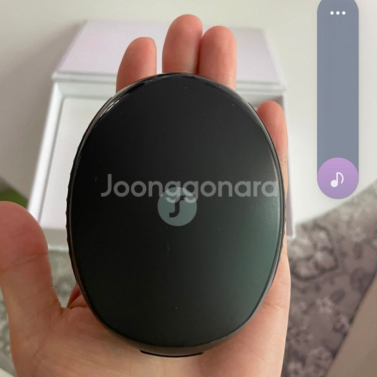 정품 독일시그니아 보청기 Signia Pure 312--3