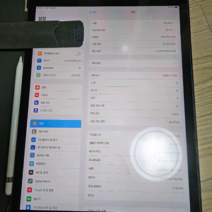 아이패드 프로 12.9 1세대 셀룰러 128, 애플펜슬