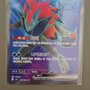 N의 조로아크 이미지