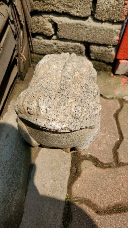 profile-image