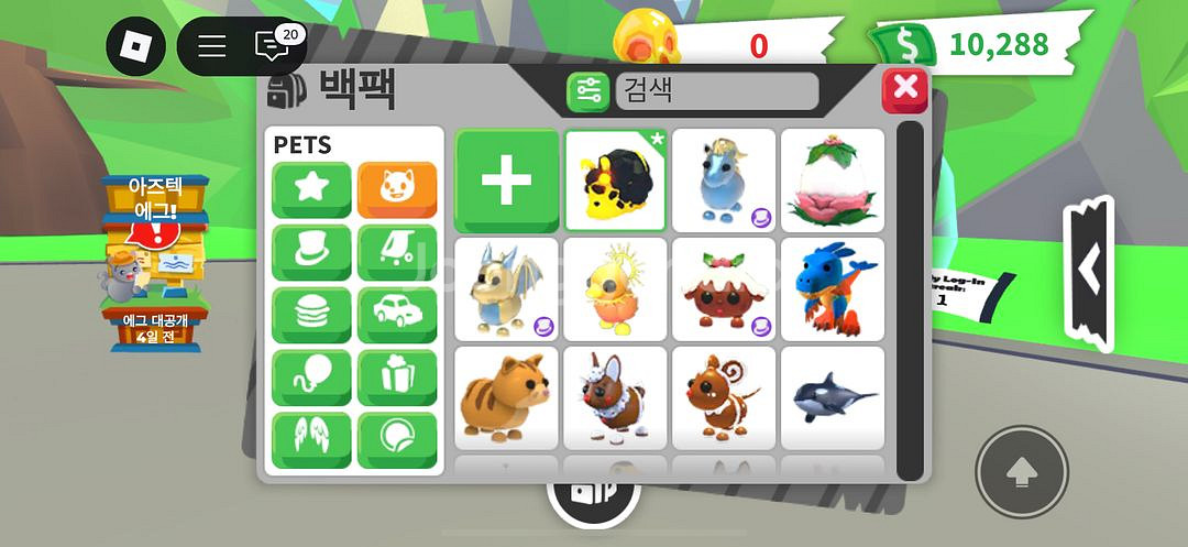 입양하세요 펫 팔아요--0