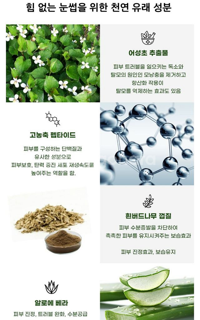 베이글 속눈썹 영양제 토닉 에센스 2종세트 아이래쉬 새--1