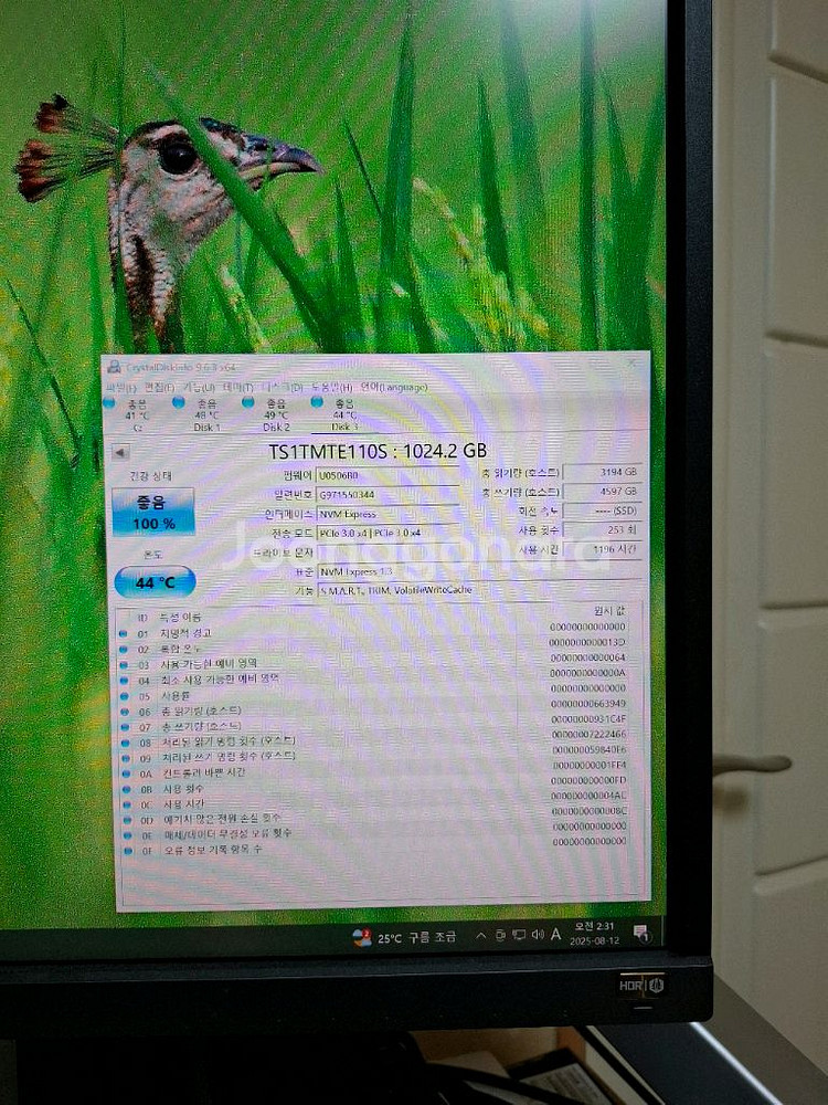 컴퓨터 저장장치 트랜센드 NVME SSD 1TB--1