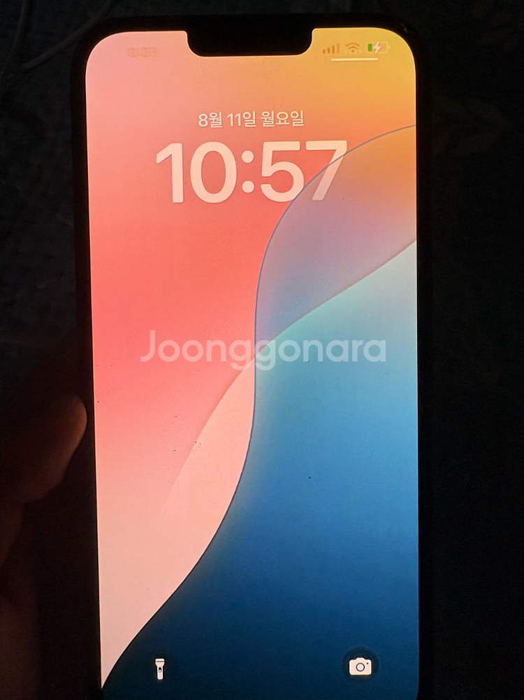 아이폰13프로맥스 256기가--3