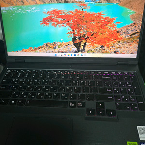 레노버 리전5 pro 4070 게이밍 노트북