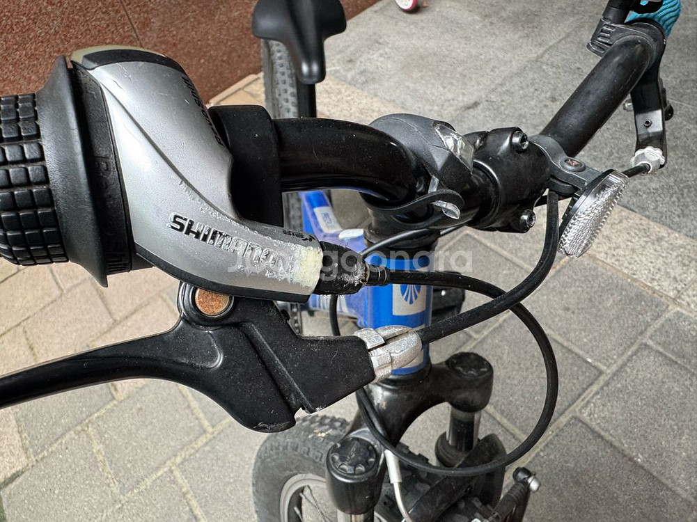 TREK Precaliber 어린이 자전거 20인치--1