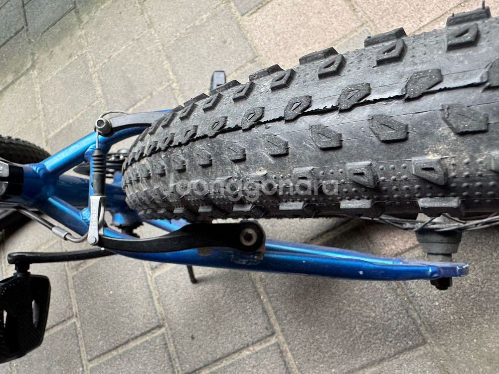 TREK Precaliber 어린이 자전거 20인치--7