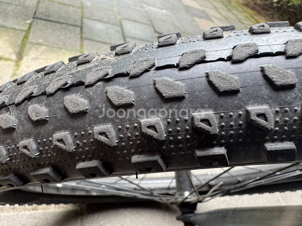 TREK Precaliber 어린이 자전거 20인치--6
