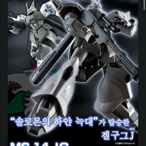 HG 신마츠나가 겔구그