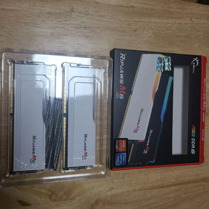 지스킬DDR5-5200 cl40 32GBx2(64GB)