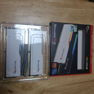 지스킬DDR5-5200 cl40 32GBx2(64GB)