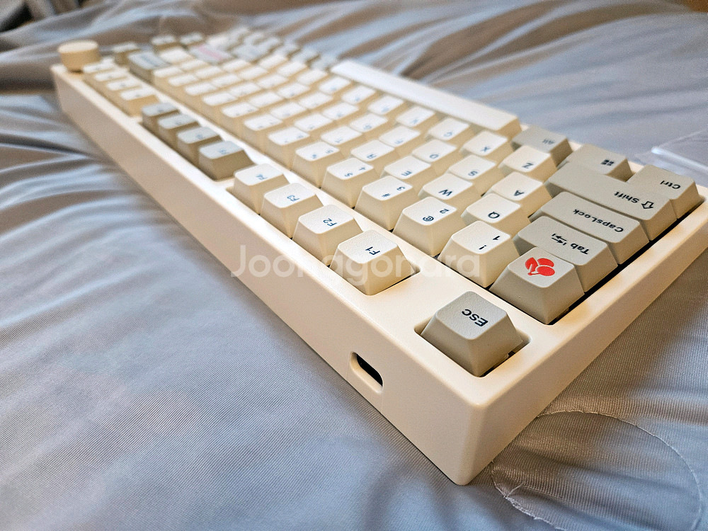 NJ80 황동 TTC홀리판다v2 레오폴드 키캡--4