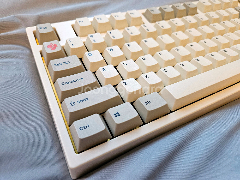 NJ80 황동 TTC홀리판다v2 레오폴드 키캡--5