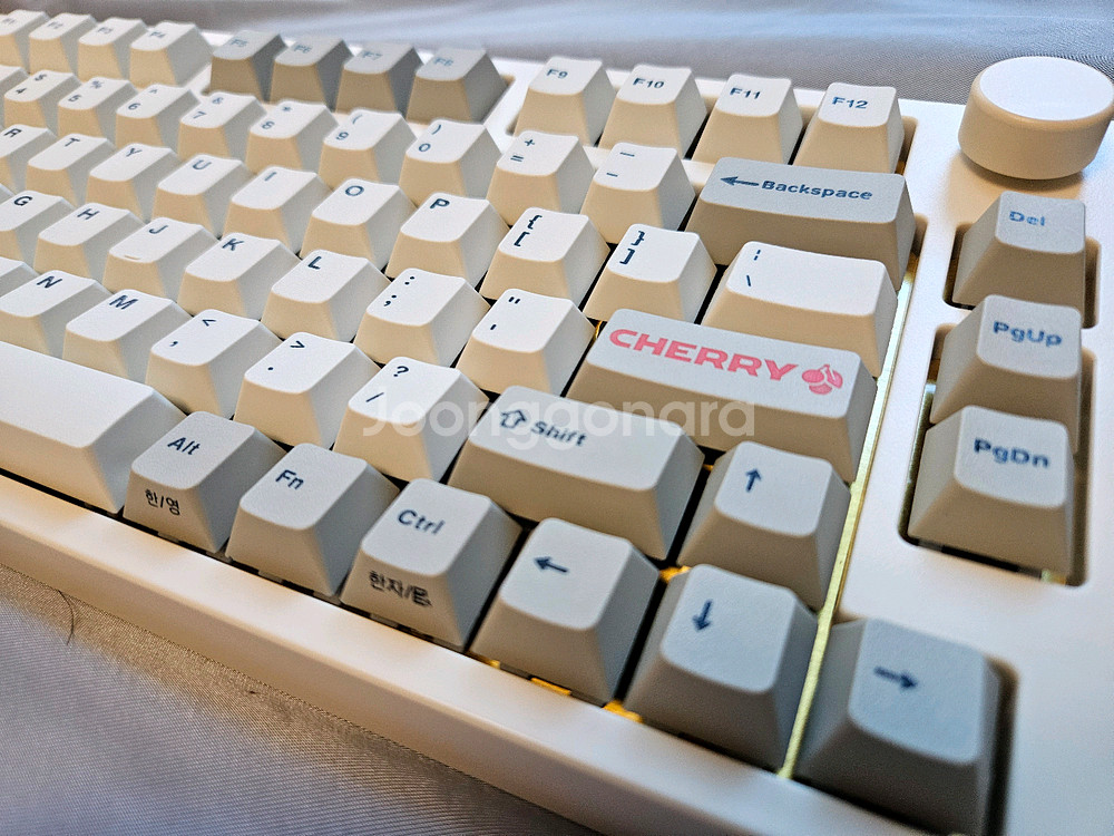 NJ80 황동 TTC홀리판다v2 레오폴드 키캡--6