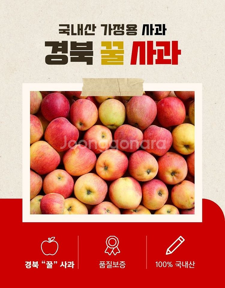 사과 10kg(중과) 무료배송 경북사과 가정용--2