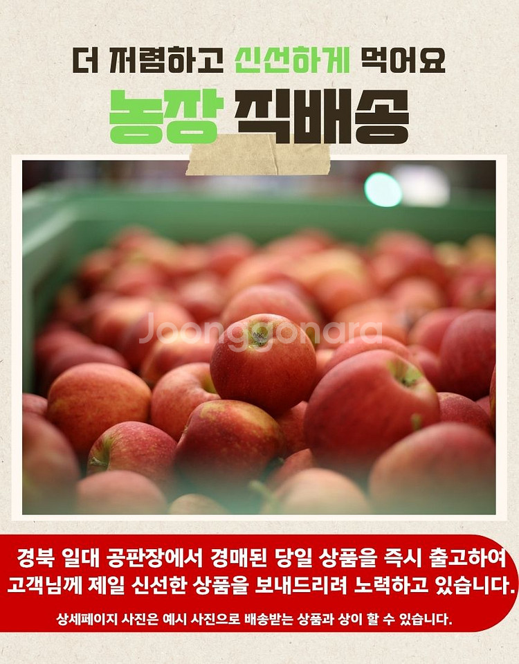 사과 10kg(중과) 무료배송 경북사과 가정용--3