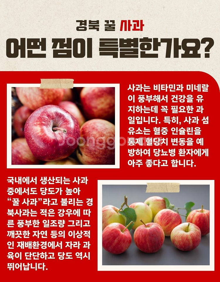 사과 10kg(중과) 무료배송 경북사과 가정용--4