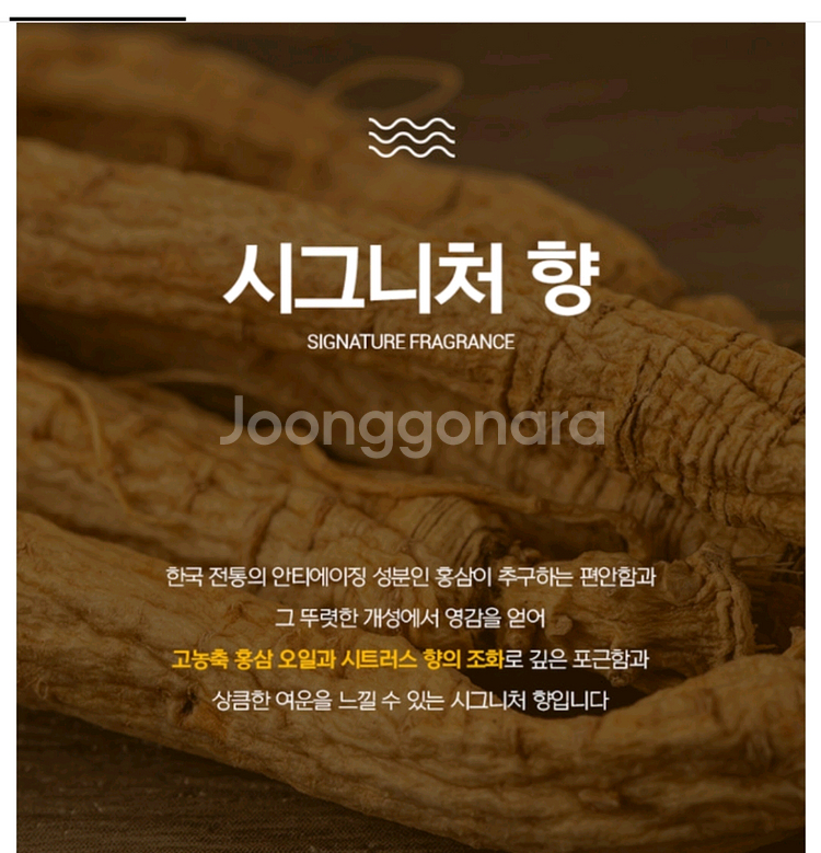 (무료배송) 자외선차단제--6