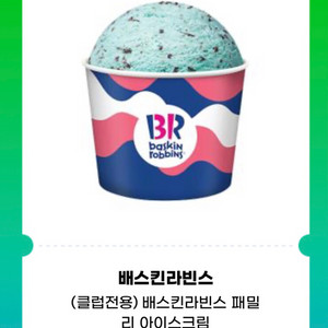 배스킨라빈스 패밀리 아이스크림