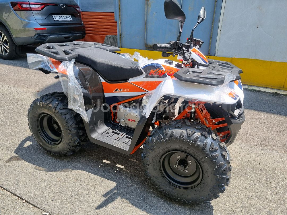 달라진 카요AU125 (불125) 사륜바이크--1