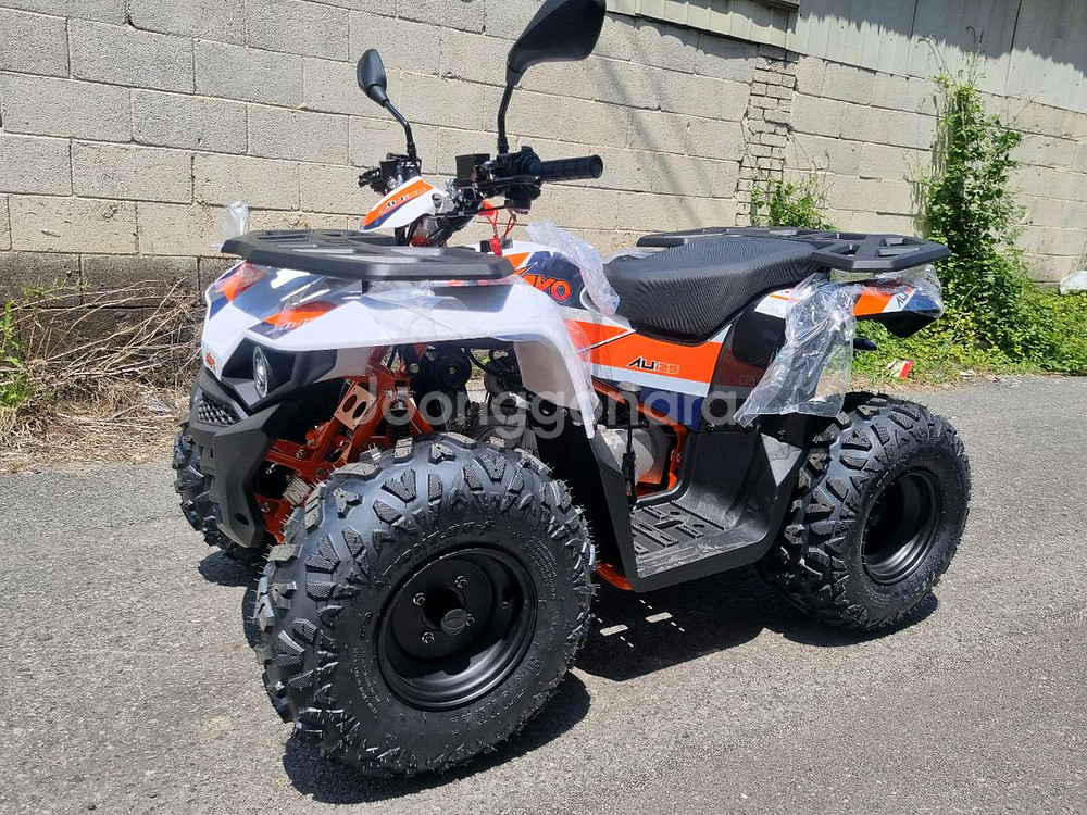 달라진 카요AU125 (불125) 사륜바이크--0