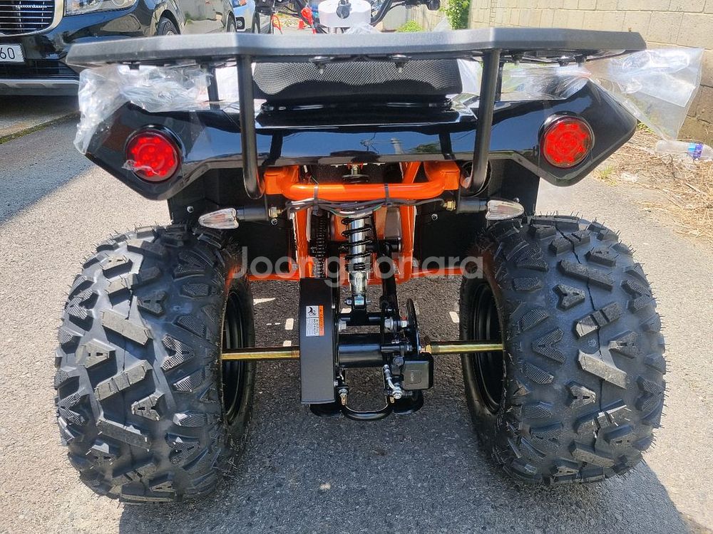 달라진 카요AU125 (불125) 사륜바이크--3