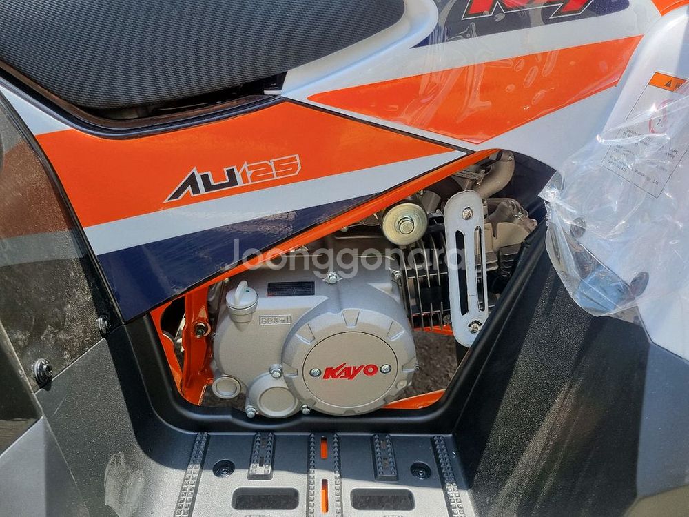 달라진 카요AU125 (불125) 사륜바이크--7