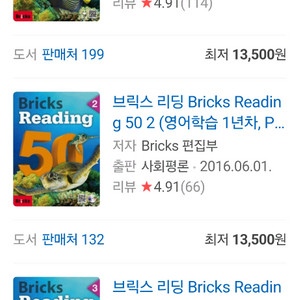 브릭스 리딩 50 새거